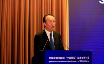 国家能源局监管总监李冶