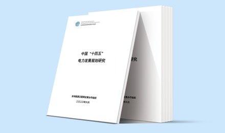 中国“十四五”电力发展规划研究